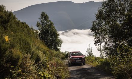 Prueba de gama Suzuki 4×4 All Grip