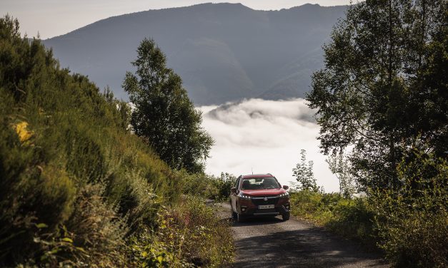 Prueba de gama Suzuki 4×4 All Grip