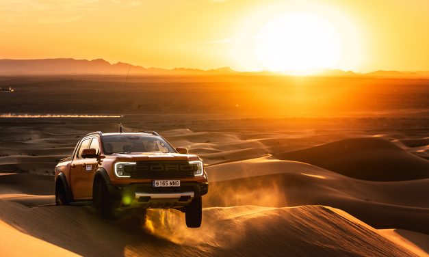 Desert Raptor Experience 2025